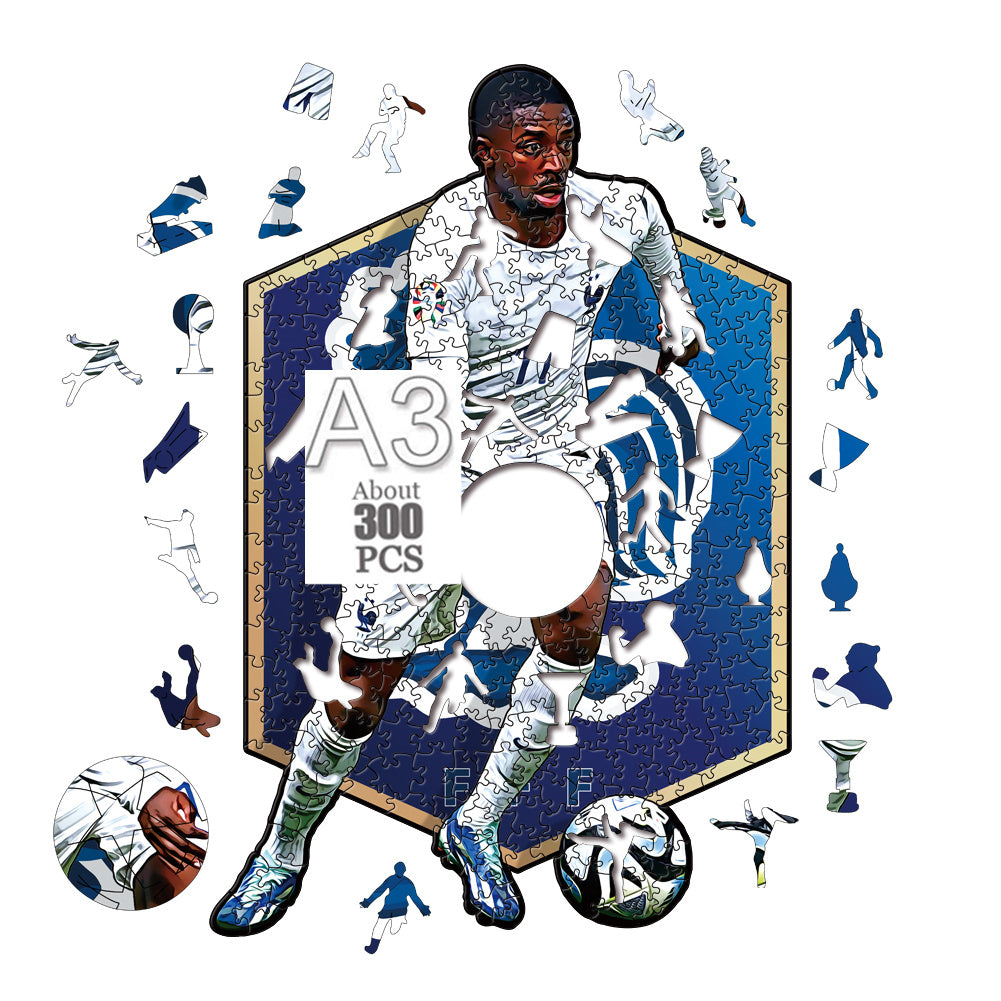 Dembelè - Wooden Puzzle